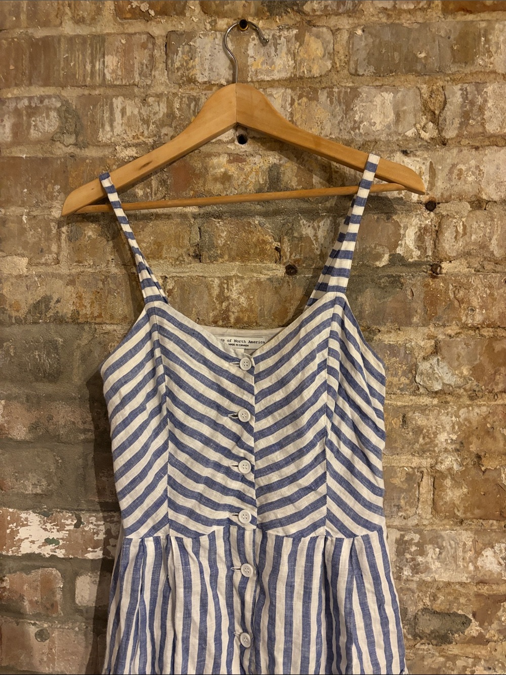 Birds of North America Striped Blue and White Linen Dress